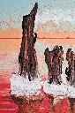 pink_lake_c-scaled.webp