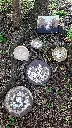 kavy_d.webp