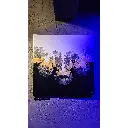 zlata_stredni_cesta_restart_w-scaled.webp