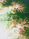 zelená_bb.webp
