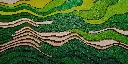 vietnamska pole_a.webp