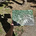 20240927_122354(1).webp
