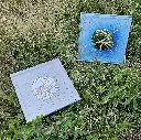 20250629_204659(1).webp