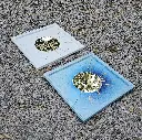 20250629_210927(1).webp