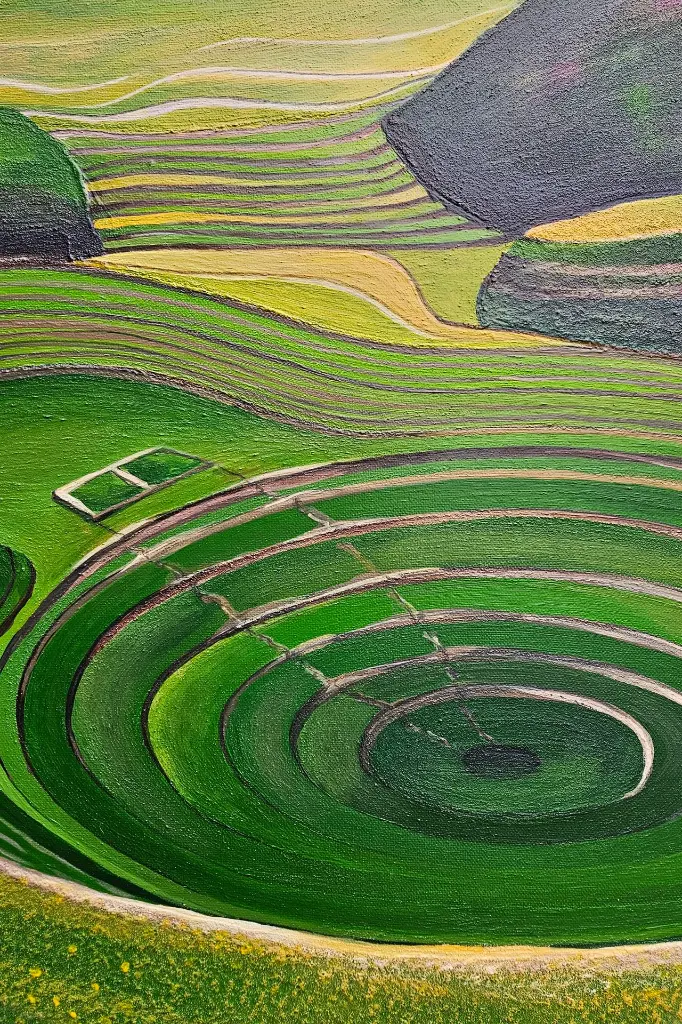 moray_d.webp