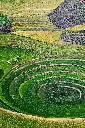moray_d.webp