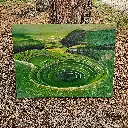moray_a.webp
