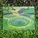 moray_f.webp
