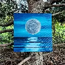 The Moon and the Sea