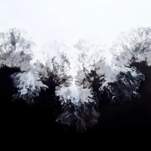 Rorschach´s black and white dream